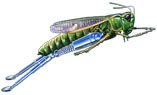 Illustration 2