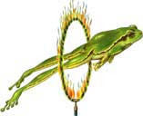 Illustration 3